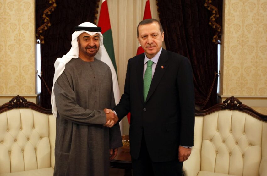  أنباء عن زيارة مرتقبة لمحمد بن زايد إلى تركيا