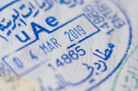 تأشيرة مخصصة للباحثين عن عمل دون ضامن في الإمارات